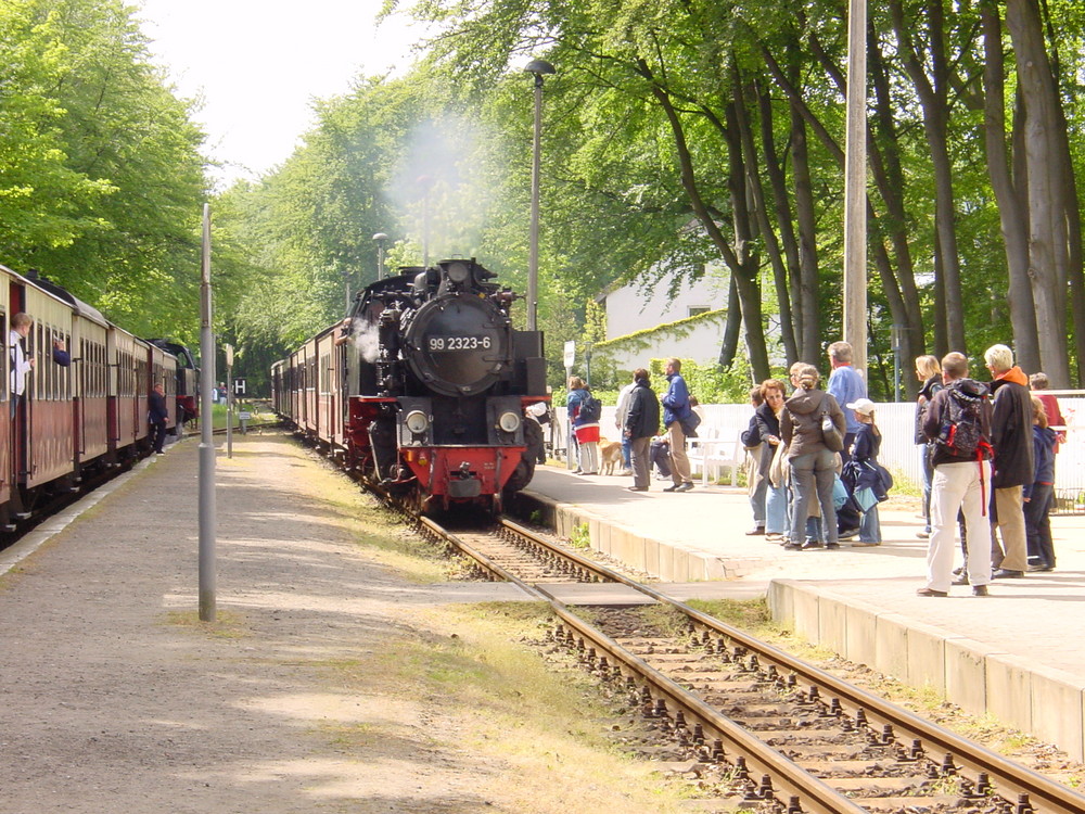 Ostseebad Heiligendamm 18