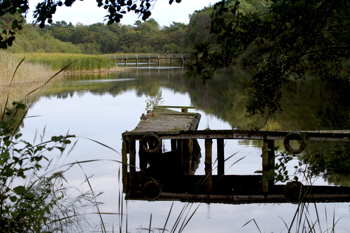 Ostseebad Prerow