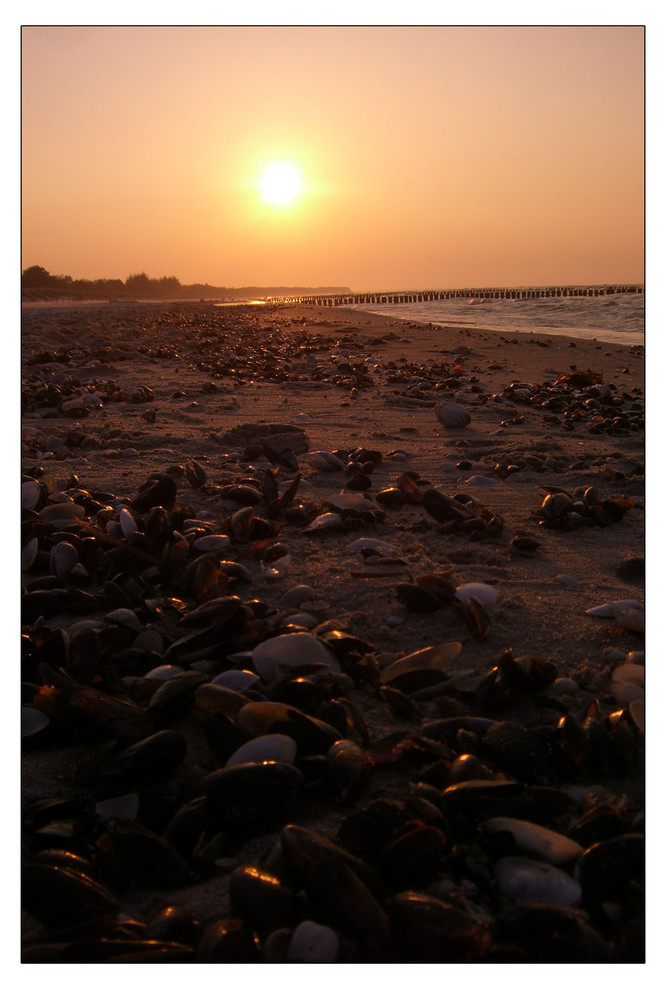 Ostseebad ZINGST