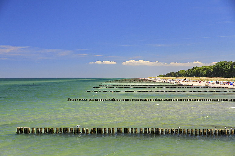 Ostseebad Zingst ... Foto & Bild | landschaft, meer & strand, natur ...