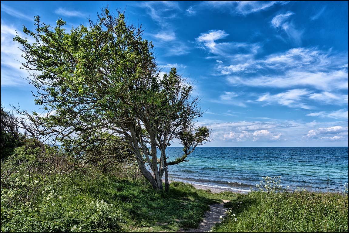 Ostseeblick #1