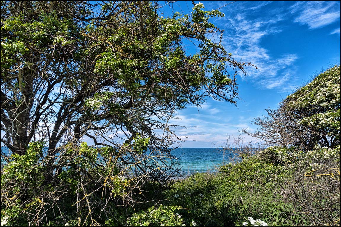 Ostseeblick #3