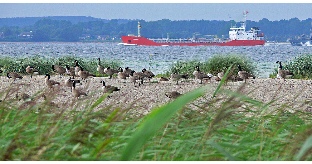 Ostseeblick