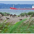 Ostseeblick