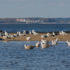 Ostseeblick