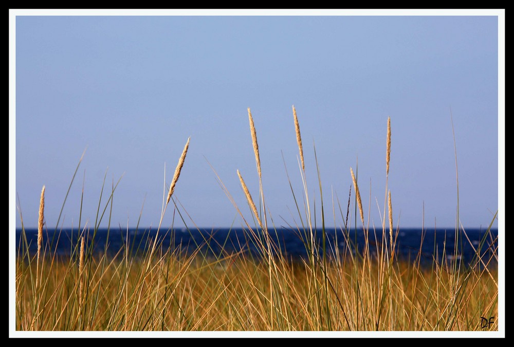 Ostseeblick