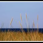 Ostseeblick