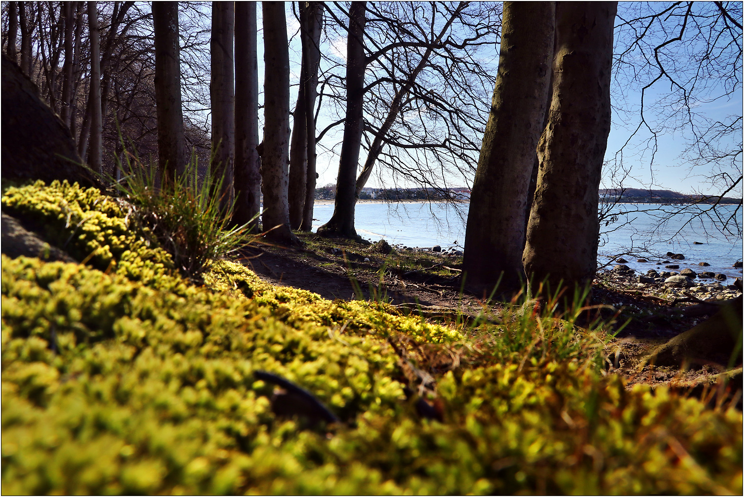 Ostseeblick auf Rügen...