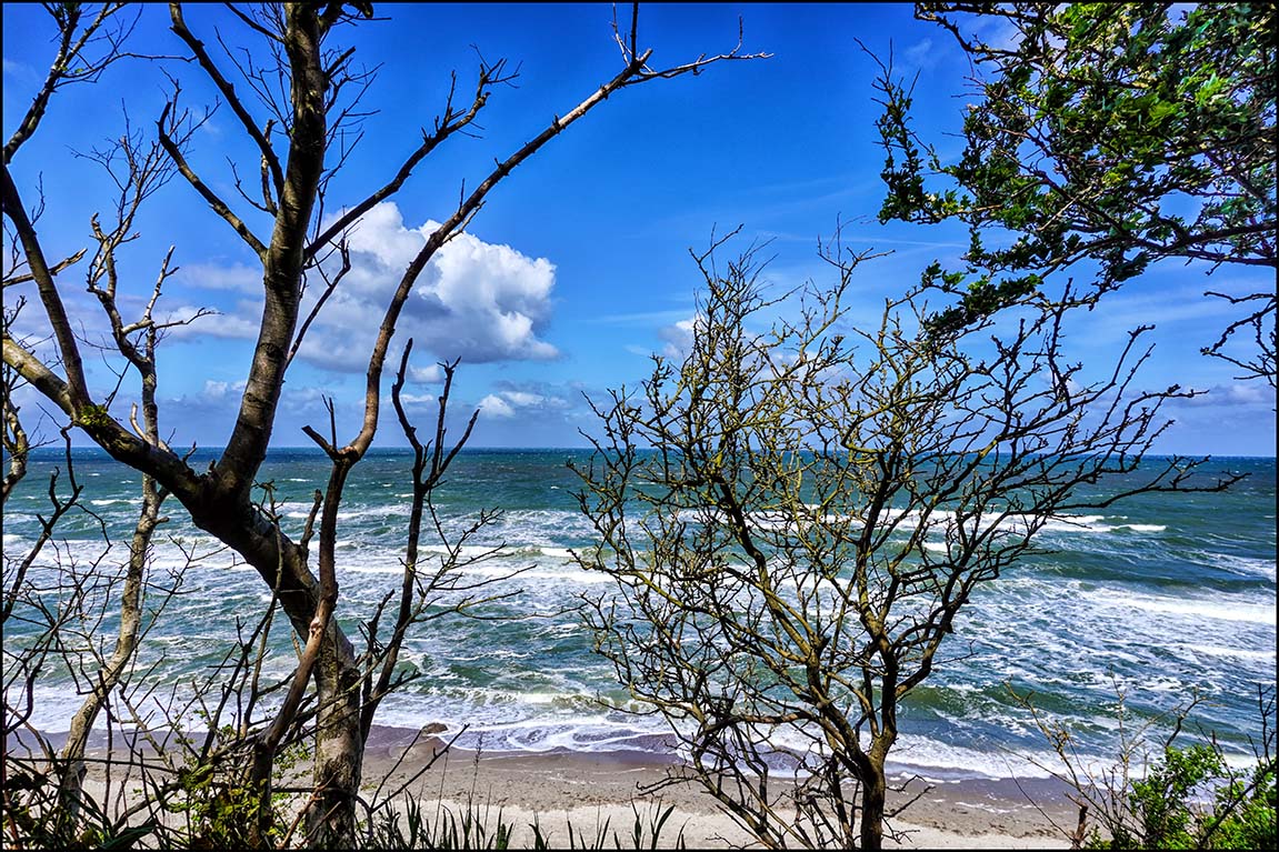 Ostseeblick bizarr