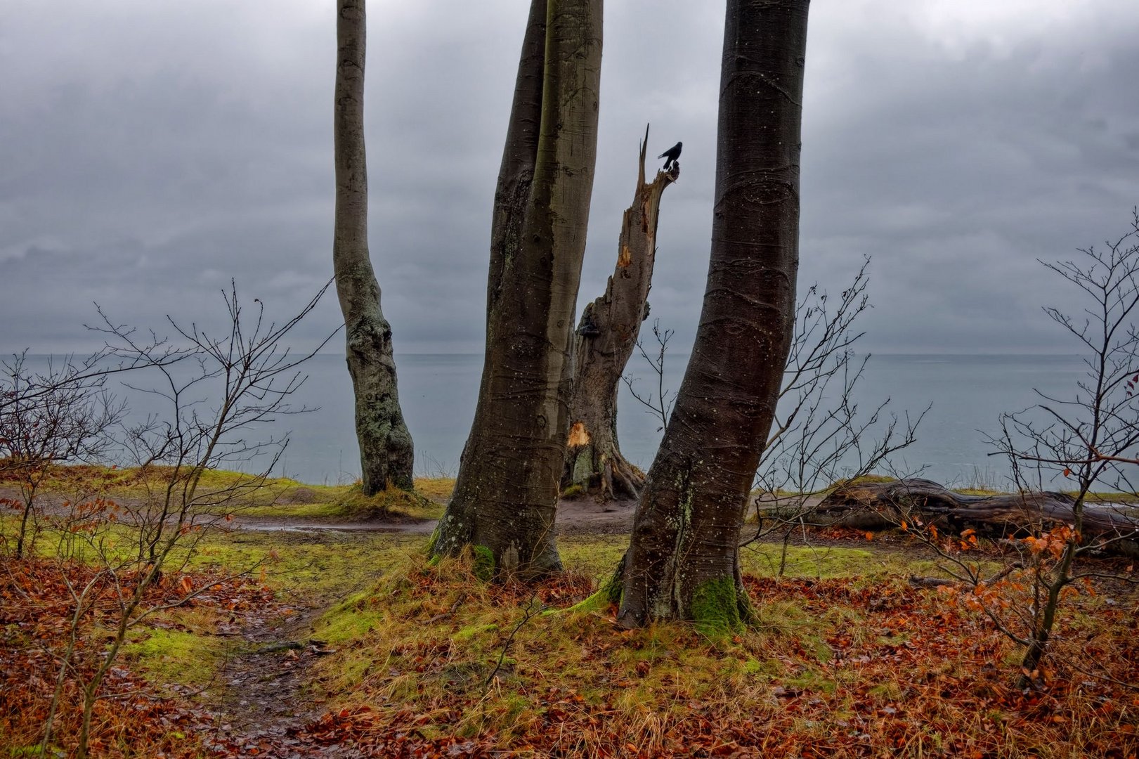 Ostseeblick