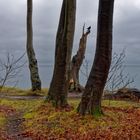 Ostseeblick