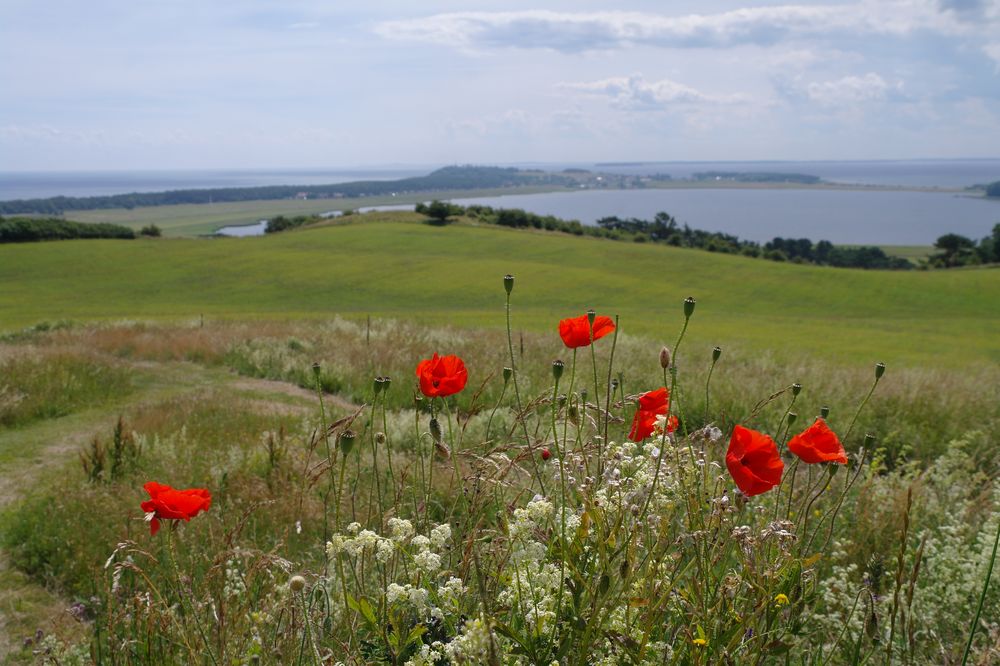 Ostseeblick