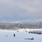 Ostseebucht bei Kölpinsee....