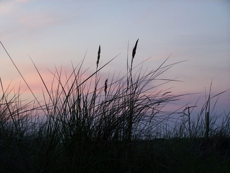 ostseedüne mit abendsonne