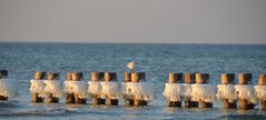 Ostseefeeling auf der Insel