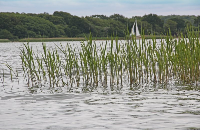 Ostseefjord Schlei