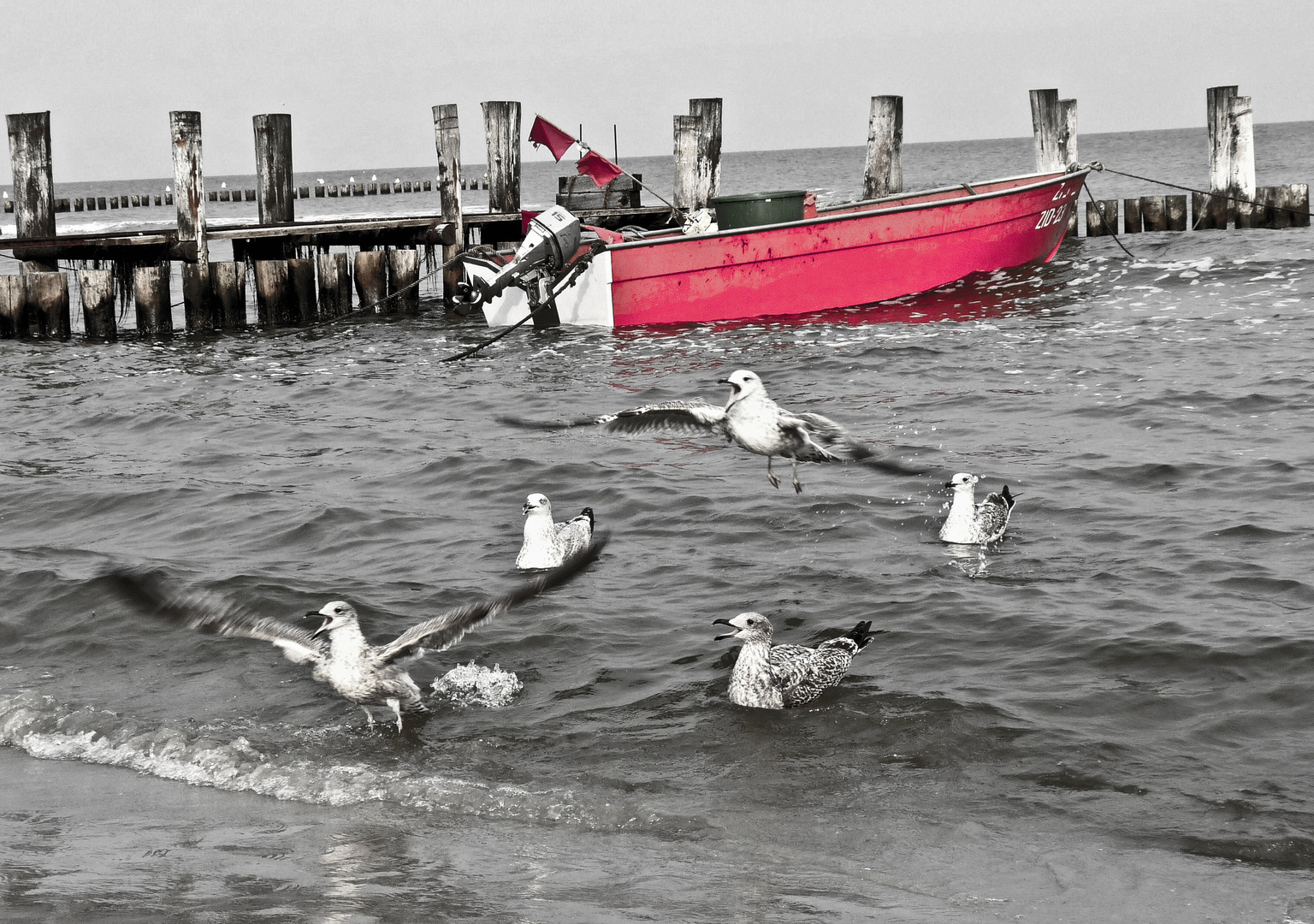 Ostseegeschwader