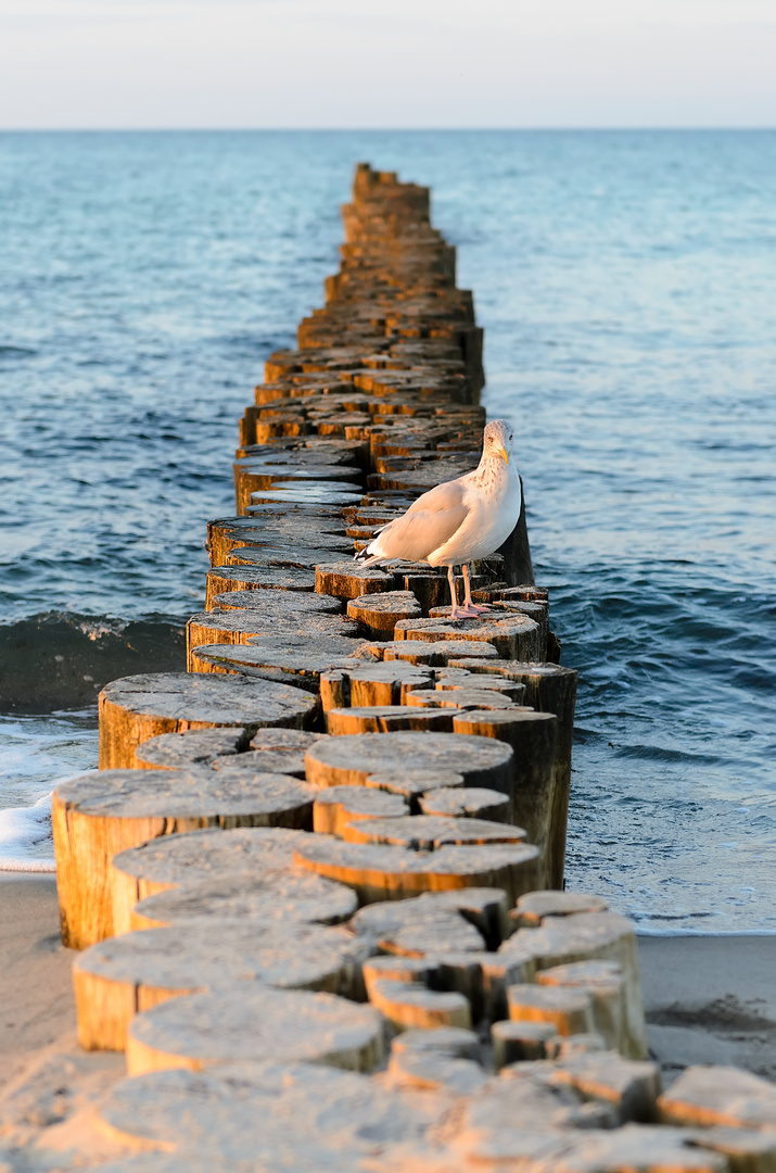 Ostseeidyll