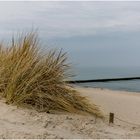 Ostseeimpression (2)