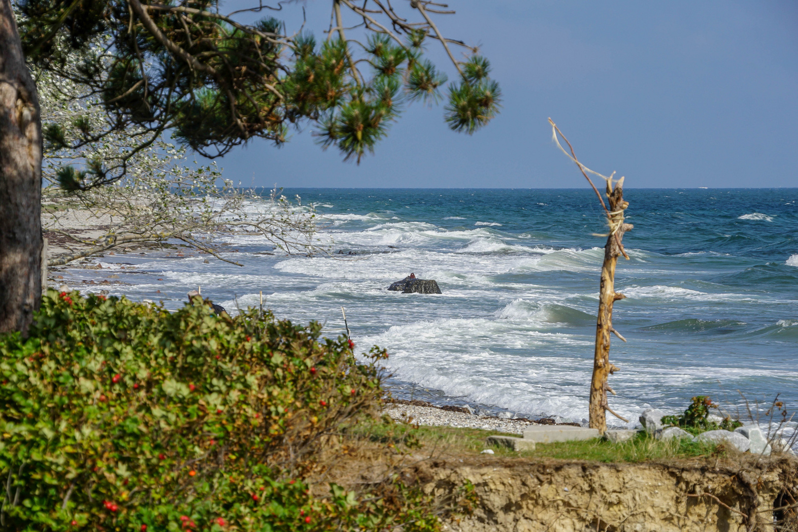 Ostseeimpressionen (1)