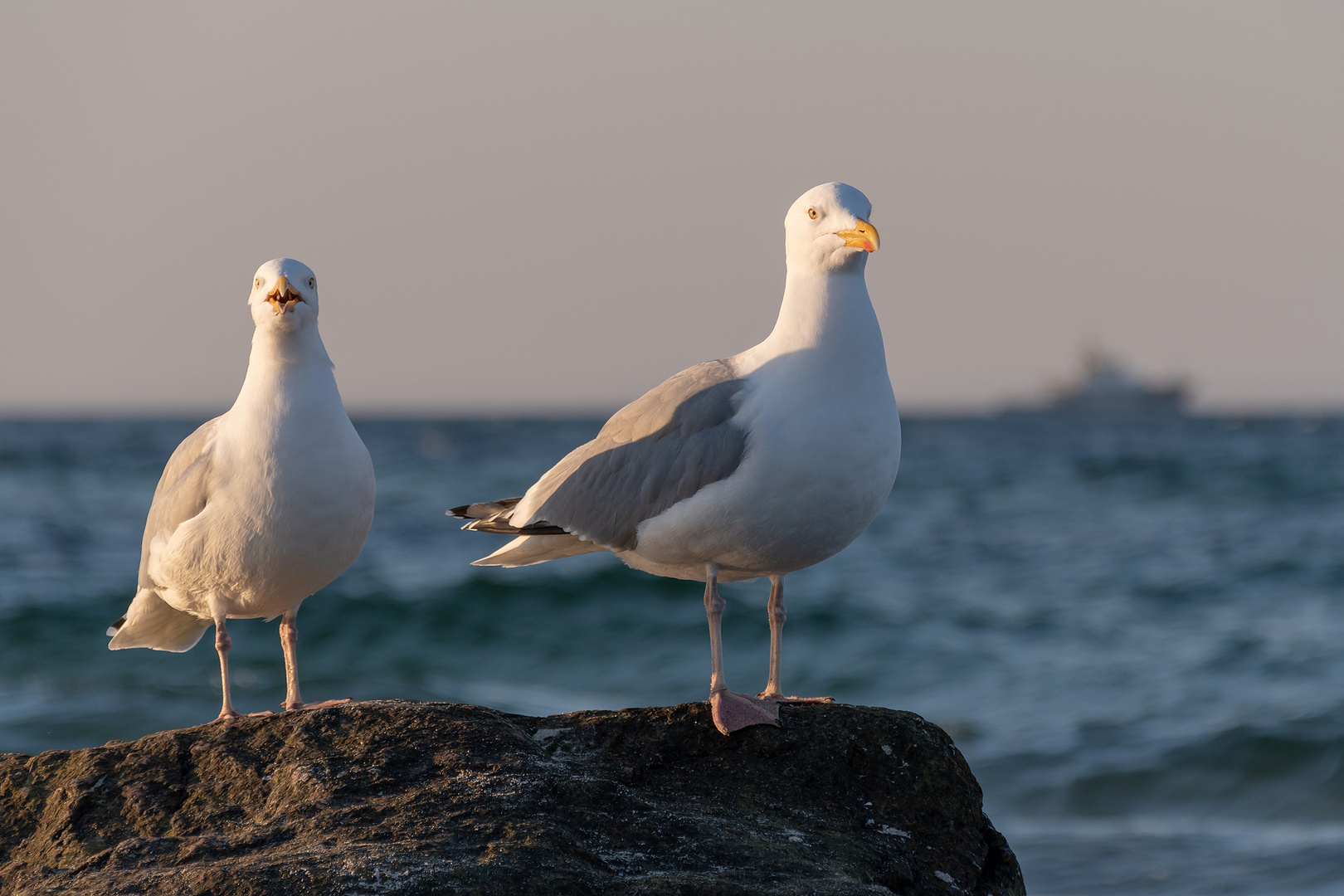 Ostseeimpressionen 10