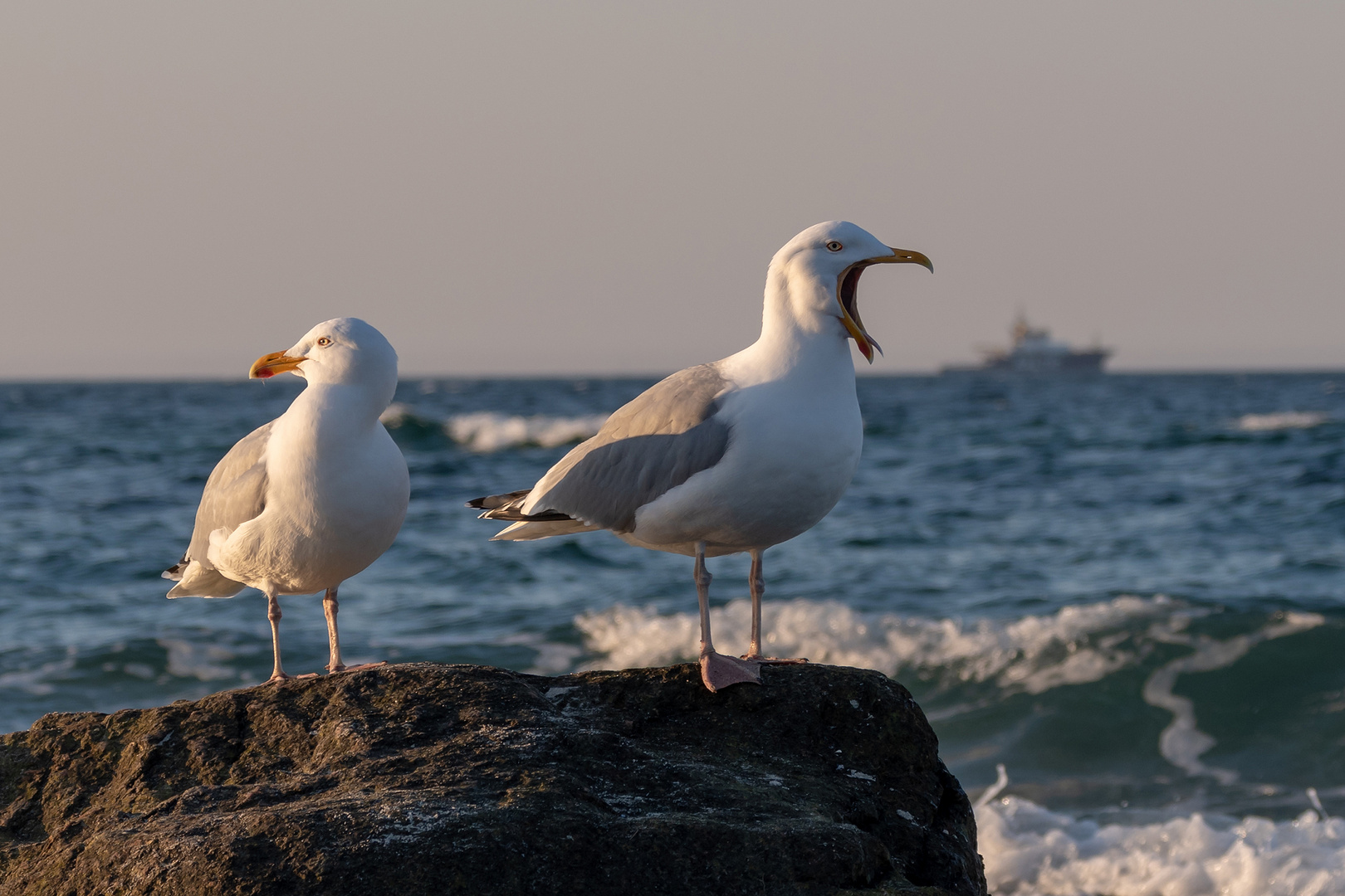 Ostseeimpressionen 12