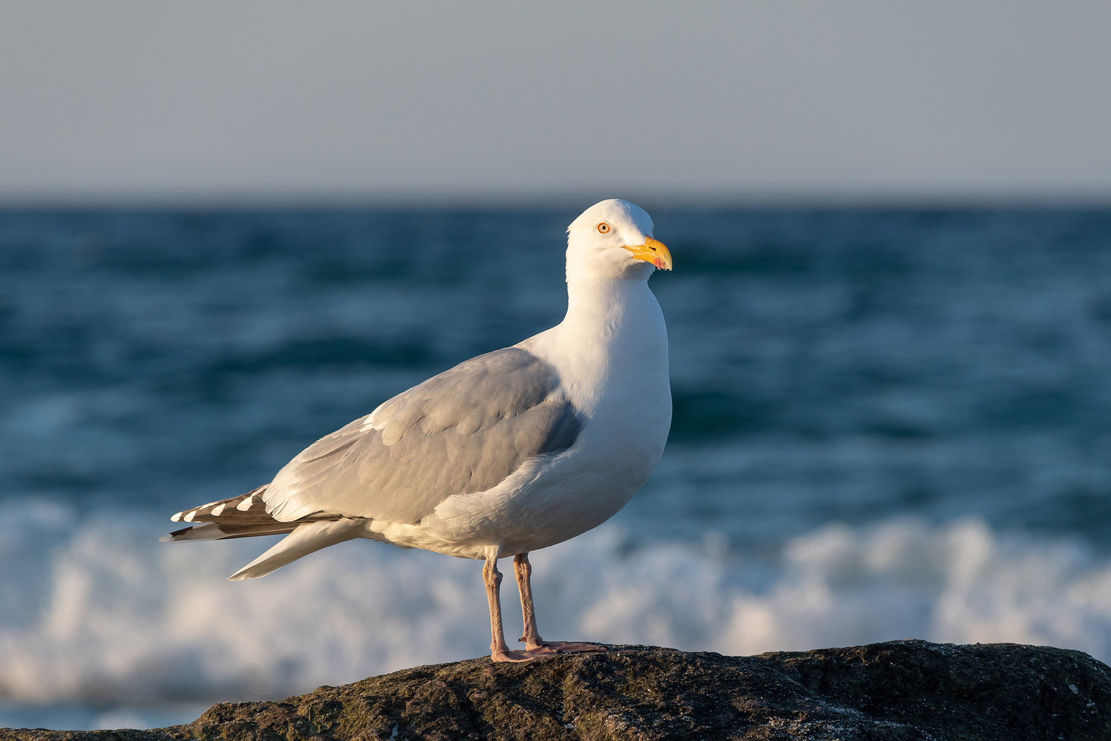 Ostseeimpressionen 15