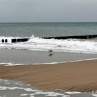 Ostseeimpressionen 2009 (Horizont gerade :)