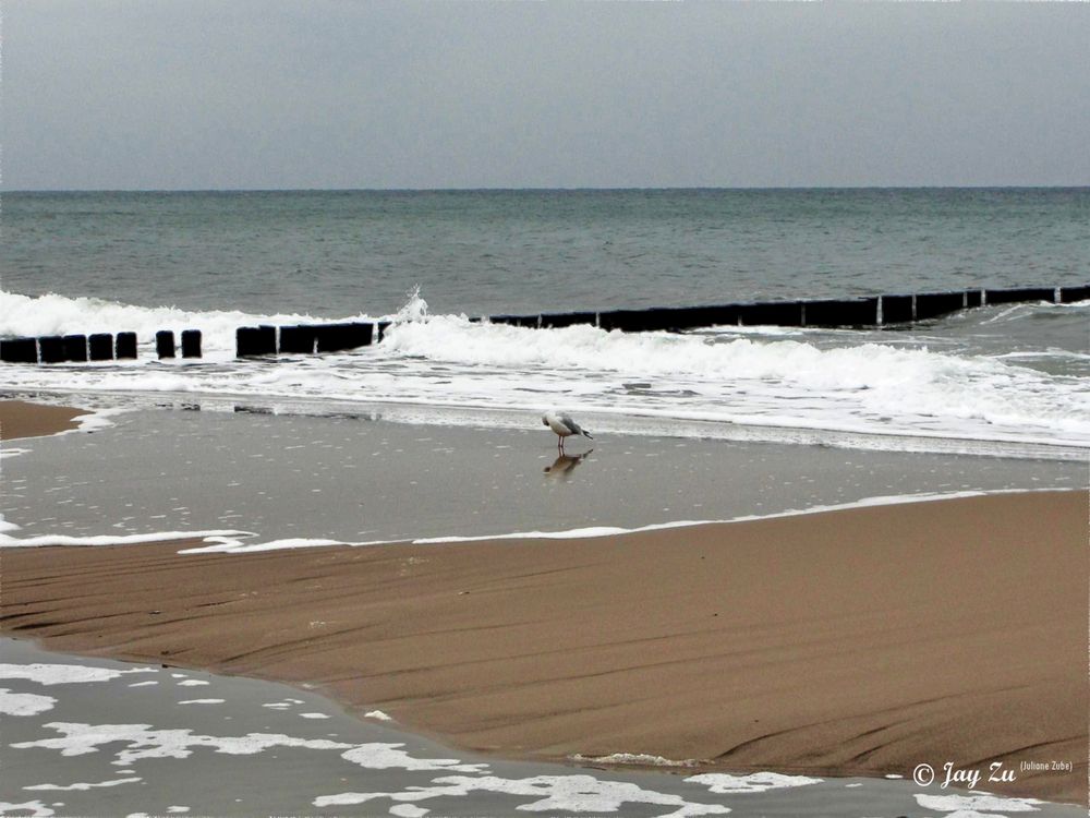 Ostseeimpressionen 2009 (Horizont gerade :)