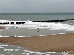 Ostseeimpressionen 2009 (Horizont gerade :)