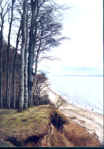 Ostseeimpressionen