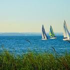 Ostseeimpressionen - Die Wassersportler - sailing boat race