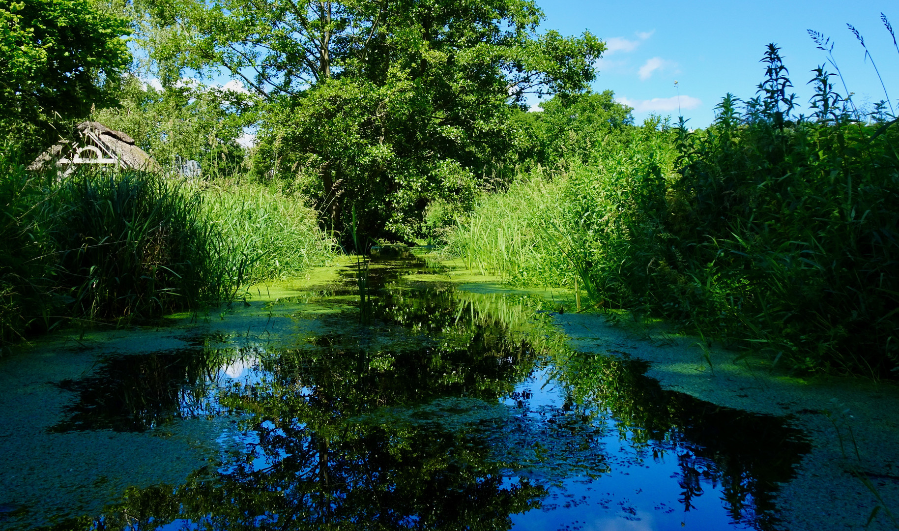 Ostseeimpressionen - im Hinterland - ... voll in die Grütze ...