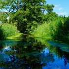 Ostseeimpressionen - im Hinterland - ... voll in die Grütze ...