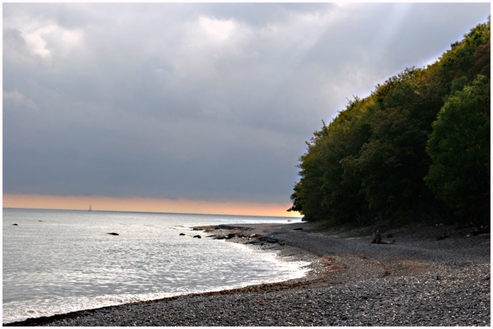 Ostseeküste auf Rügen im Gegenlicht