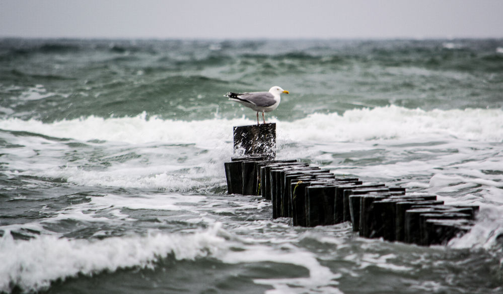 Ostseeküste bei Kühlungsborn