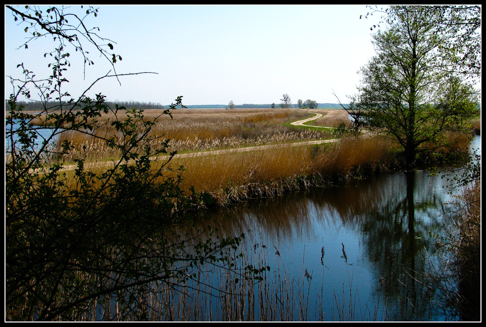 Ostseeküstenradweg bei Anklam