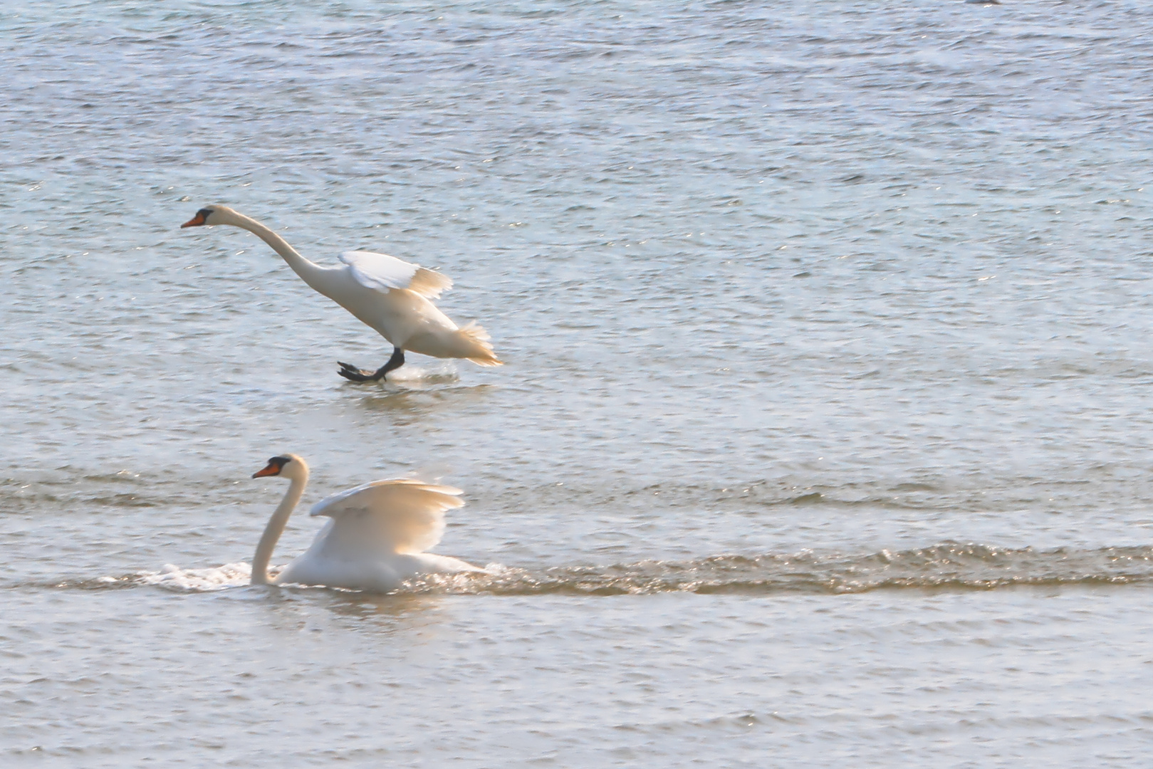 Ostseelandebahnen Schwan 1 und 2