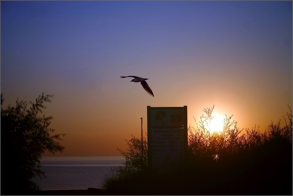 ostseemorgen