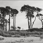 ostsee_P1220128