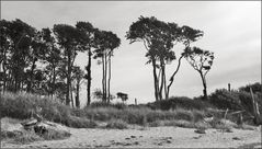 ostsee_P1220128