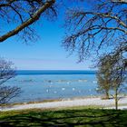 Ostseereise - A Visby Daydream ...