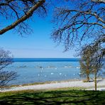 Ostseereise - A Visby Daydream ...