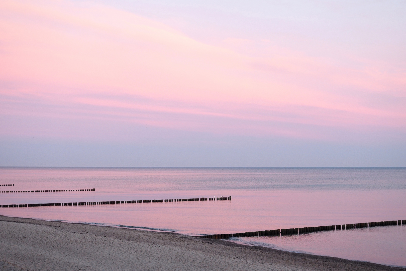 Ostsee:rosenfingrig