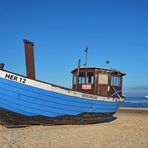 Ostseeschwalbe & Meer