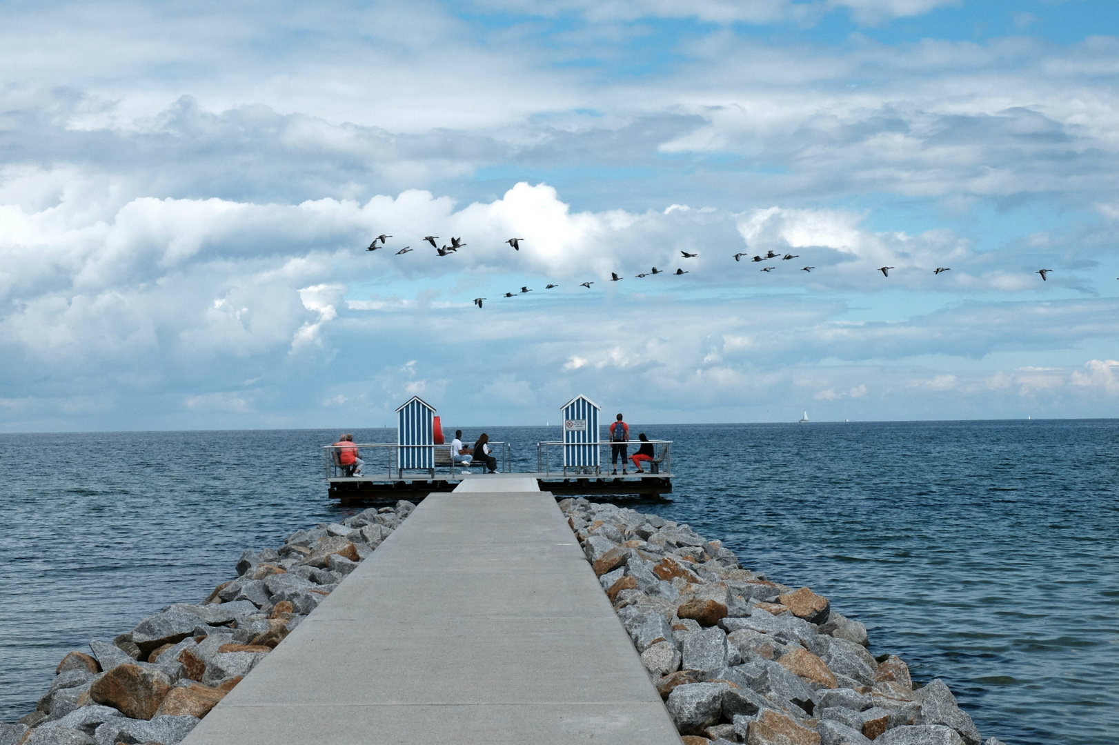 Ostseesteg mit Vögeln