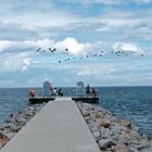 Ostseesteg mit Vögeln