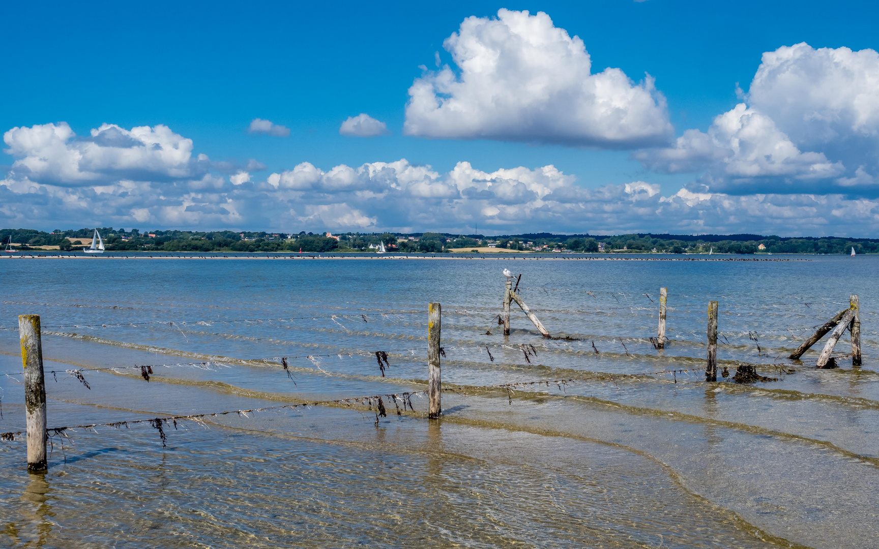 Ostseestimmung Nähe Glücksburg