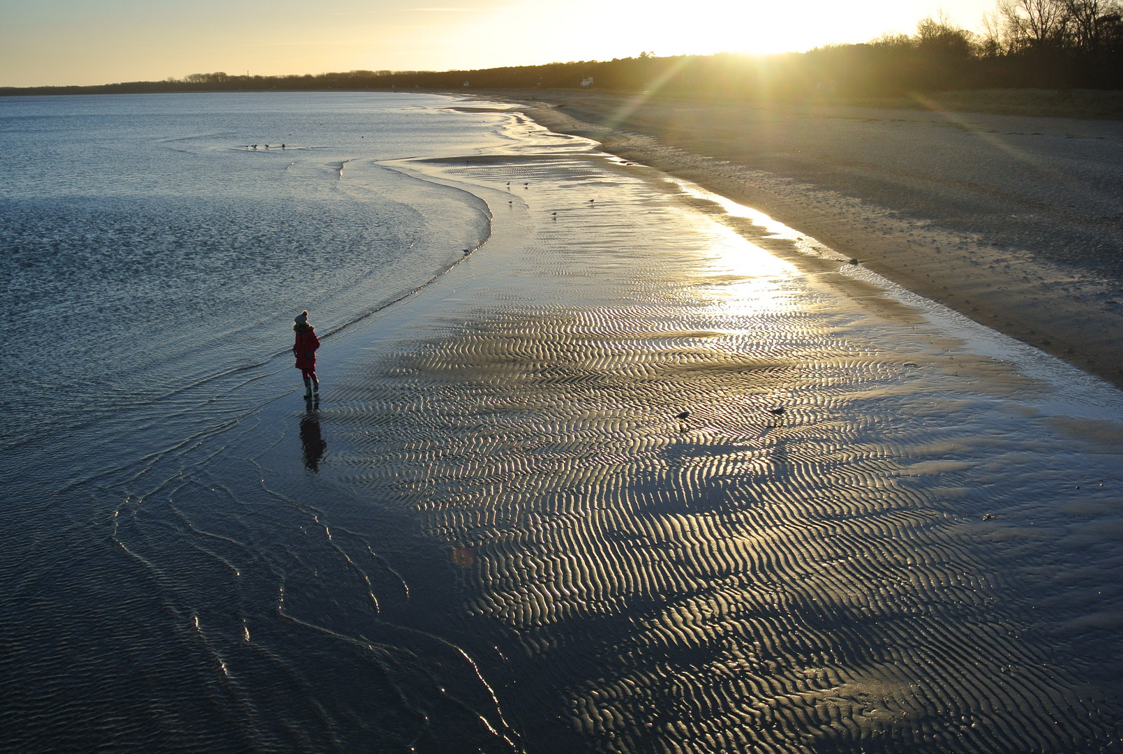 Ostseestrand (2)