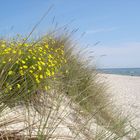 Ostseestrand